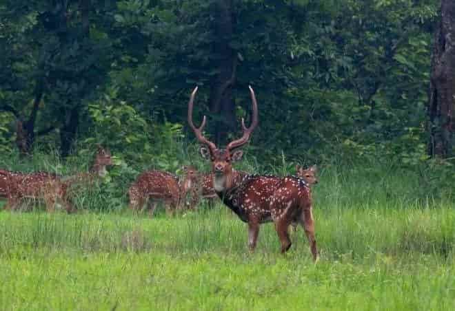 Top Parks in Dundu - Best Gardens near me - Justdial Top Parks in Dundu - Best Gardens near me - Justdial