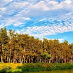 20+ Tourist Attraction in Meerut - Most Visited Tourist Places ...