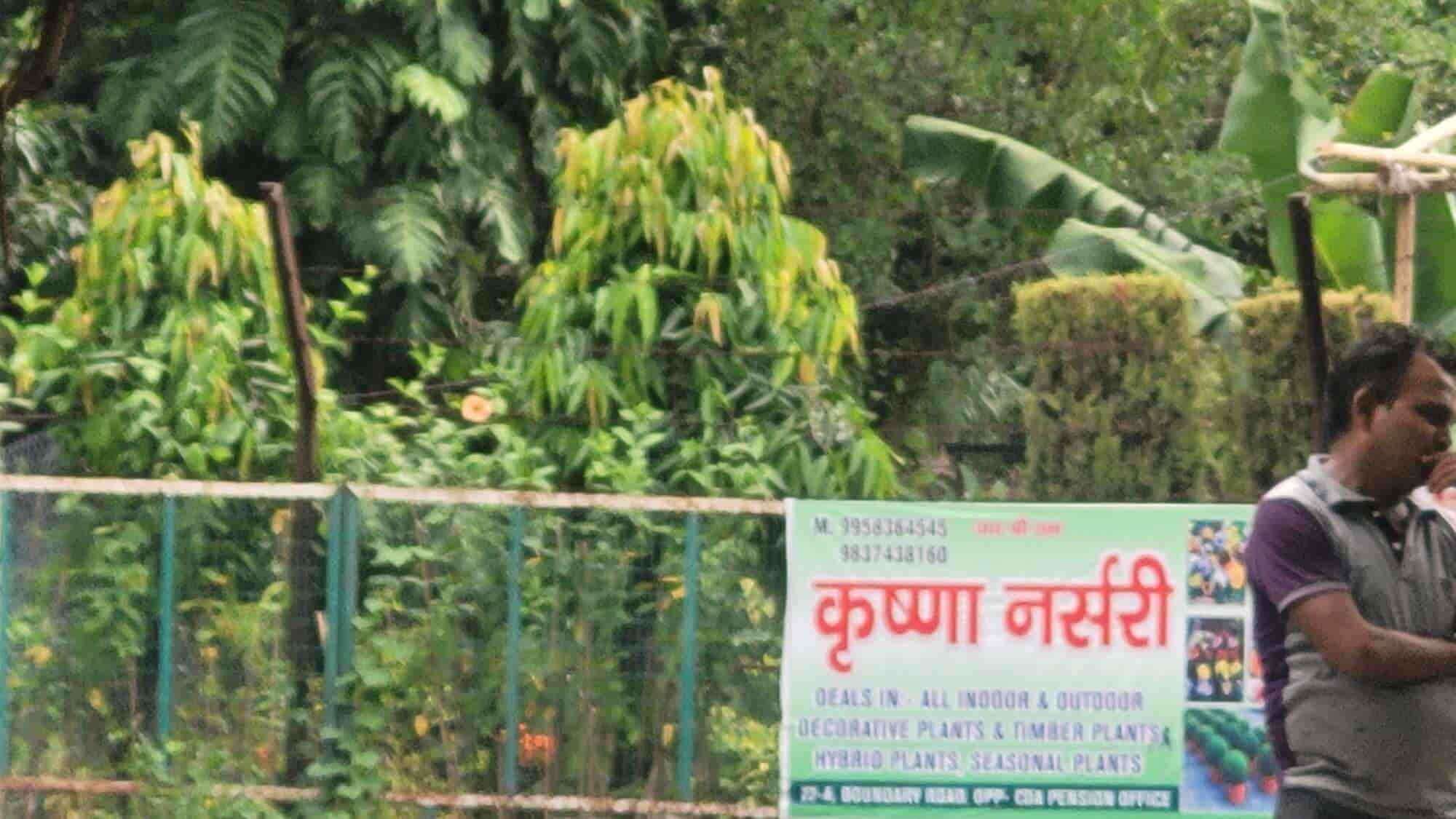 Top Plant Nurseries in Meerut Best Goverment Plant Nurseries near me