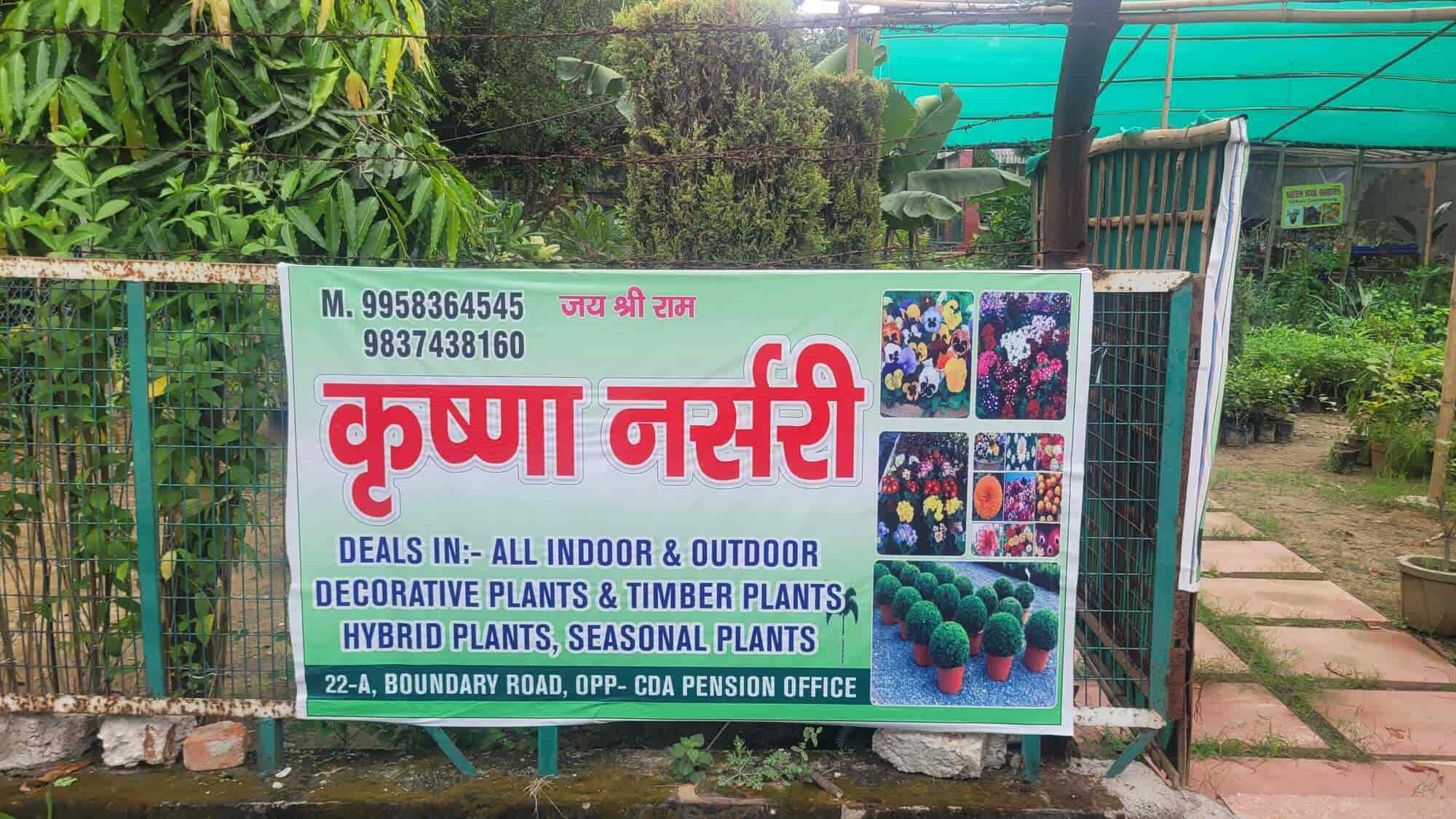 Top Plant Nurseries in Meerut Best Goverment Plant Nurseries near me