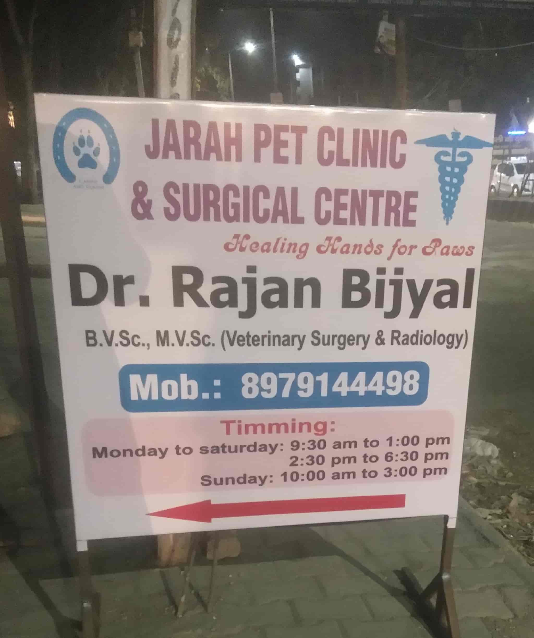 Top Pet Clinics In Dadri Best Dog Clinics Meerut Justdial