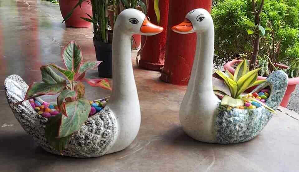 Top Plant Nurseries in Meerut Best Goverment Plant Nurseries near me