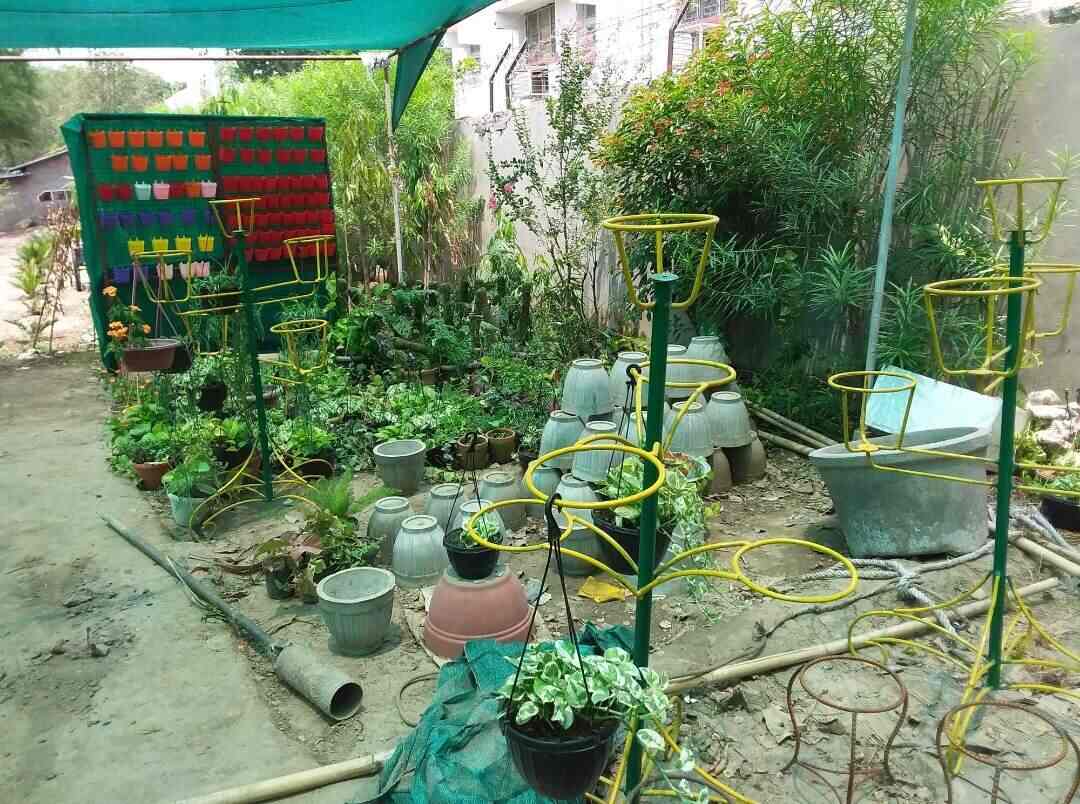 Top Plant Nurseries in Meerut Best Goverment Plant Nurseries near me