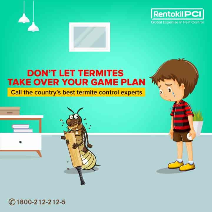 Pci Pest Control Pvt Ltd in Delhi Road Meerut,Meerut Best Pest