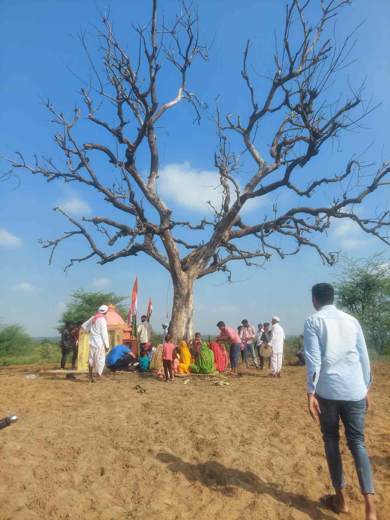 Dr Ramesh Raval House Dalsangbhai Raval Campus Photos, Lunva, mehsana ...