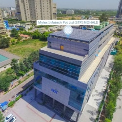 ForexDevelopment office
