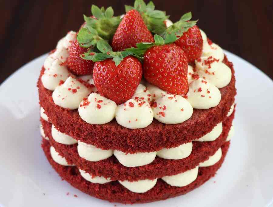 Cakes N Cakes Shop in Chandigarh Best Cake Shops in Chandigarh Justdial