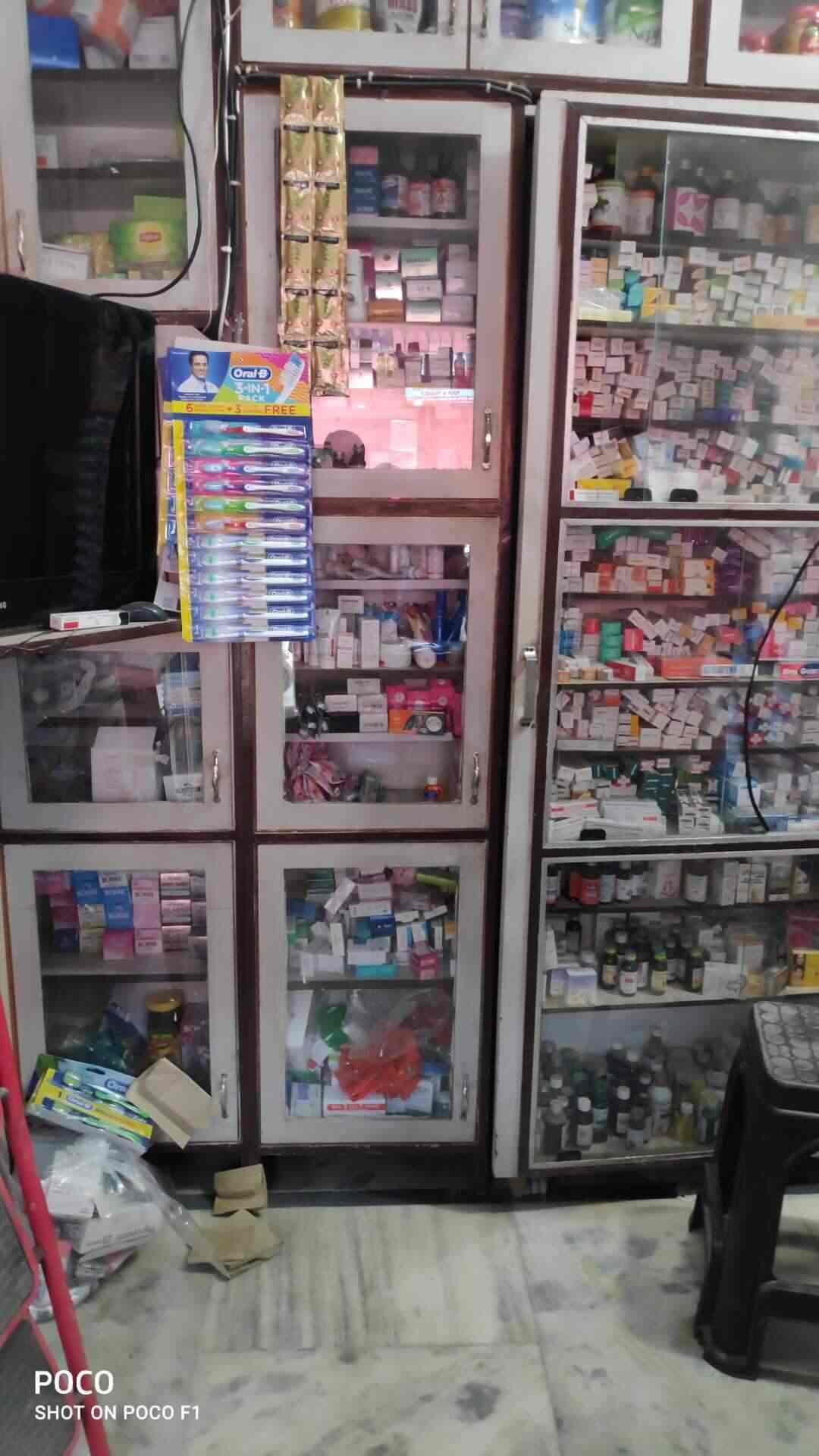 Top 20 Pet Shops For Labrador Dog in Kharar Best Labrador Dog Dealers