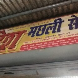Fish Retailers in Motihari - Fish Suppliers - Justdial