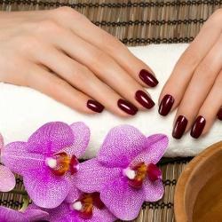 Nail Lounge India  Home  Facebook