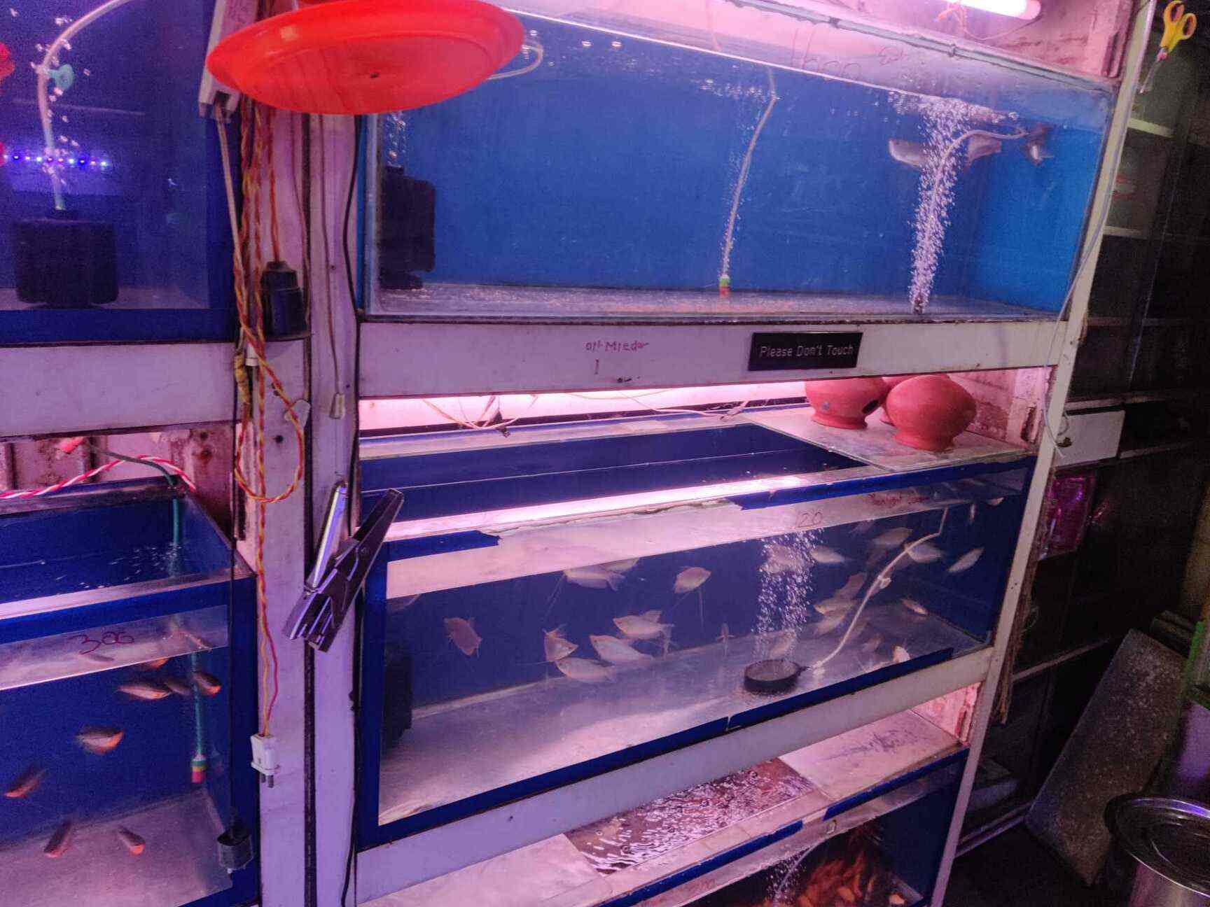 Modern Aquarium in Thane West,Mumbai Best Aquarium Accessory Dealers