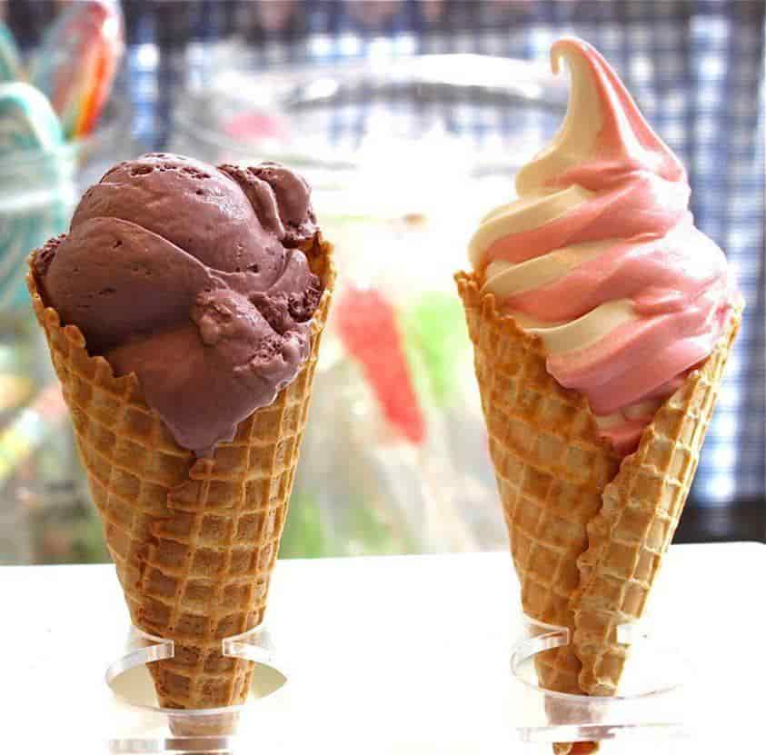 Top Amul Cattle Feed Manufacturers in Lucknow कैटल फीड मनुफक्चरर्स