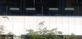 Swastik Multicuisine Family Restaurant & Bar in Andheri East, Mumbai