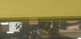 Khatri Diagnostic Centre in Mahalaxmi, Mumbai