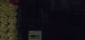 Ferns N Petals in Andheri West, Mumbai