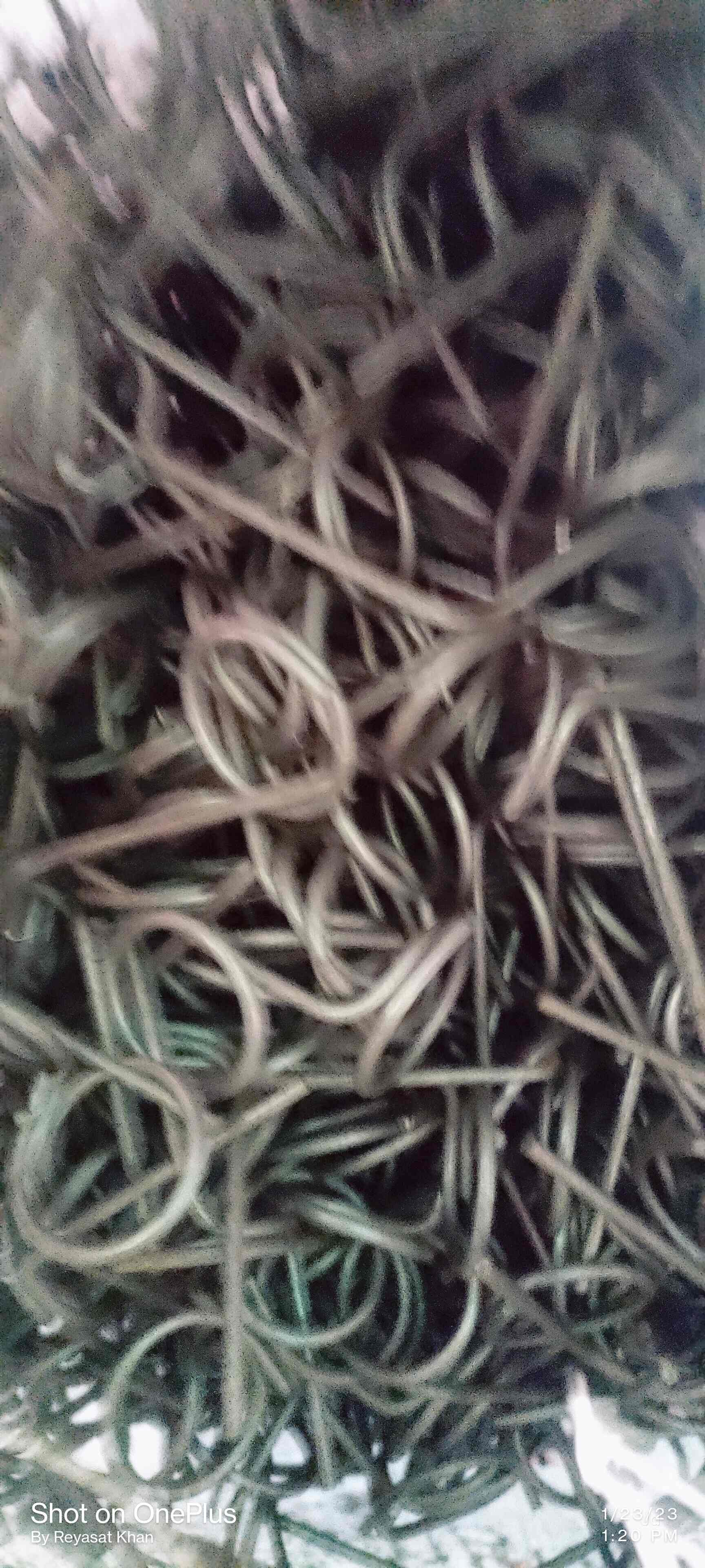 yamaha showroom ghatkopar