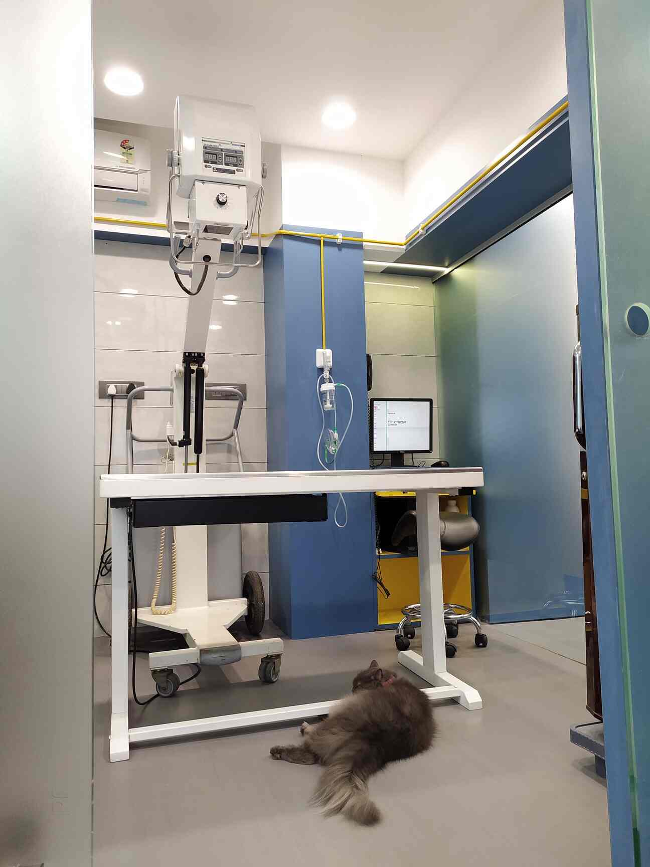 Superpets Small Animal Clinic Photos, Khar West, mumbai- Pictures & Images Gallery - Justdial Superpets Small Animal Clinic Photos, Khar West, mumbai- Pictures & Images Gallery - Justdial