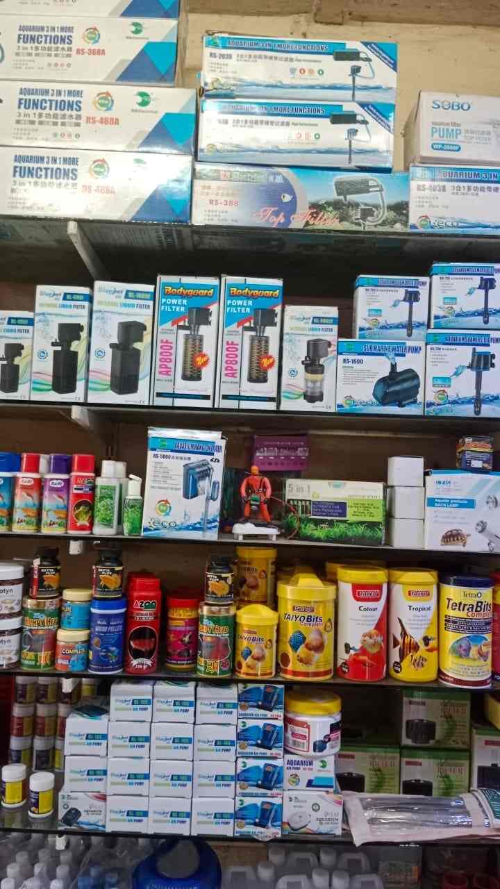 Top Pet Shops in Mumbai Best Pet Store near me Justdial