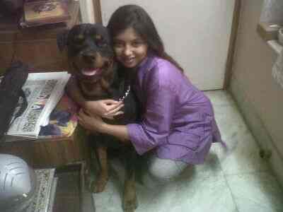 Petgascar Pet Spa in Andheri West Mumbai Best Pet Grooming