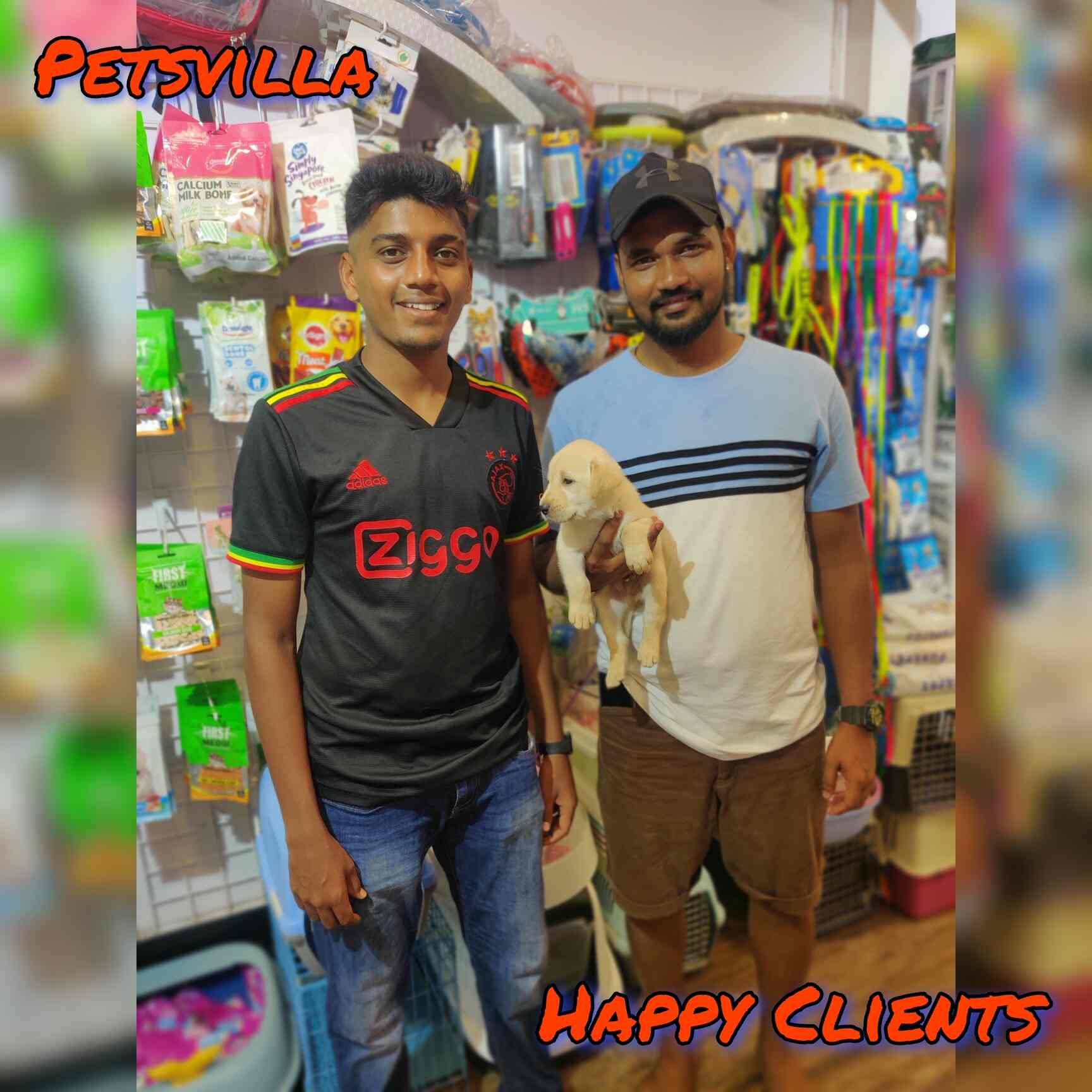 Petsvilla in Crawford Market,Mumbai Best Pet Shops in Mumbai Justdial