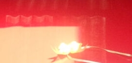 CARR WORLD in Goregaon West, Mumbai