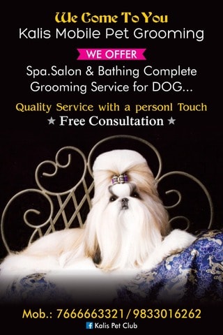 Top Pet Shops For Dog in Kurla West Mumbai Best Pet Supplies