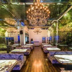 B Kitchen Bar Juhu Mumbai Multicuisine Mexican European Finger Food Middle Eastern Cuisine Restaurant Justdial