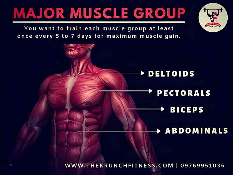 Top Gyms in Thane West Best Fitness Center near me Justdial