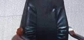 Skyline Job Consultant Agency in Virar West, mumbai