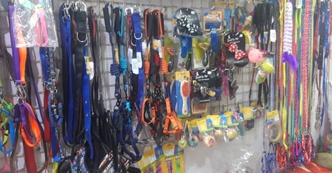 Animal Ark in Vasai West,Mumbai - Best Pet Grooming Services in Mumbai - Justdial Animal Ark in Vasai West,Mumbai - Best Pet Grooming Services in Mumbai - Justdial