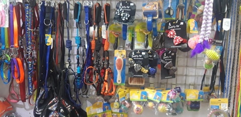 Animal Ark in Vasai West,Mumbai - Best Pet Grooming Services in Mumbai - Justdial Animal Ark in Vasai West,Mumbai - Best Pet Grooming Services in Mumbai - Justdial