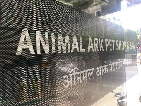 Animal Ark in Vasai West,Mumbai - Best Pet Grooming Services in Mumbai - Justdial Animal Ark in Vasai West,Mumbai - Best Pet Grooming Services in Mumbai - Justdial