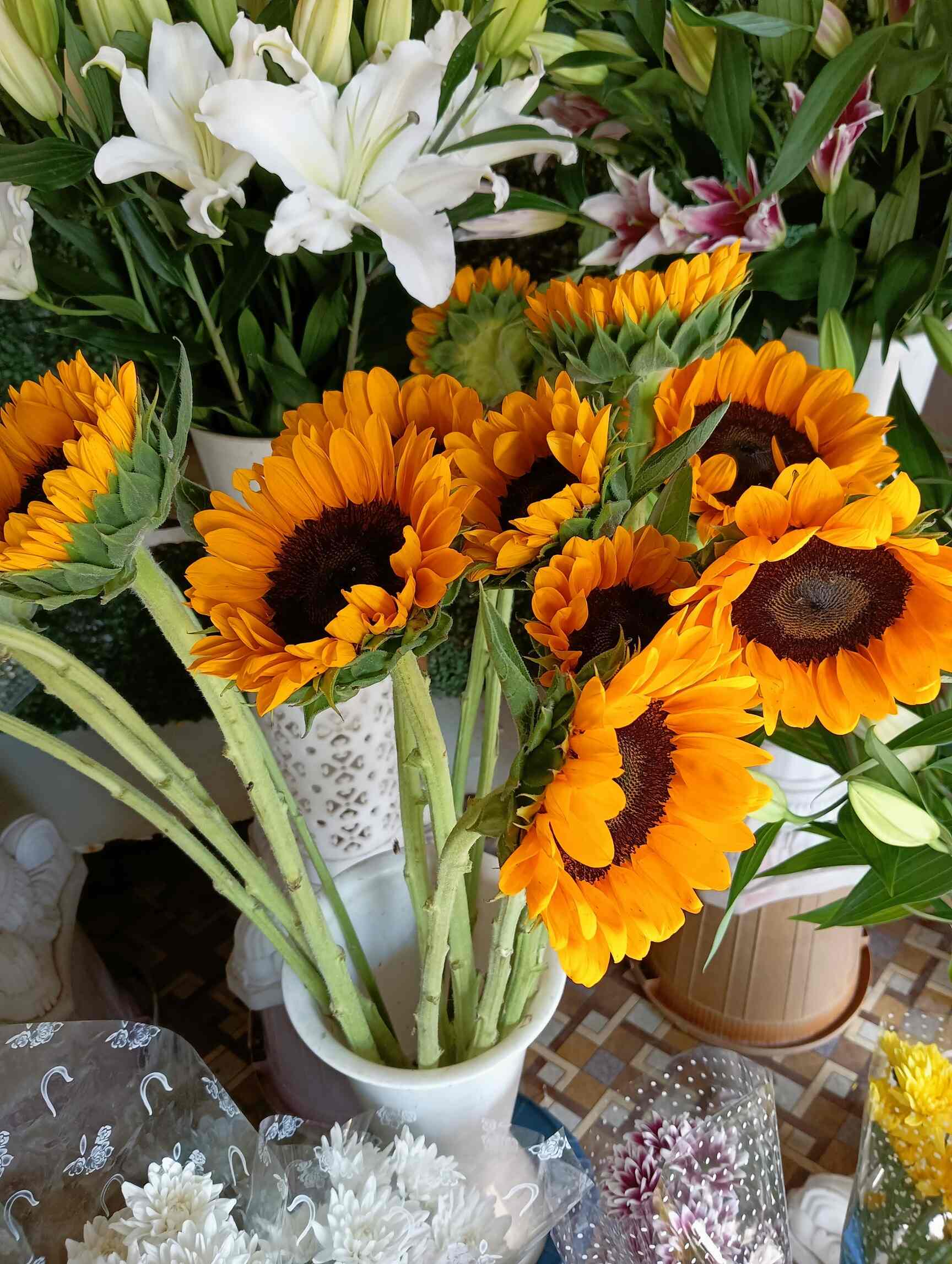 Kamdhenu Florist in Andheri West,Mumbai Best Florists in Mumbai Justdial