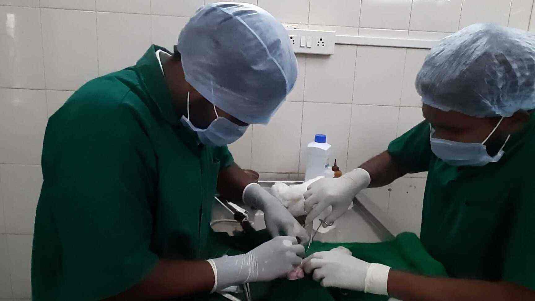 Dr. Sachin Kolpe (Veterinary Home Services) in Panvel City,Mumbai