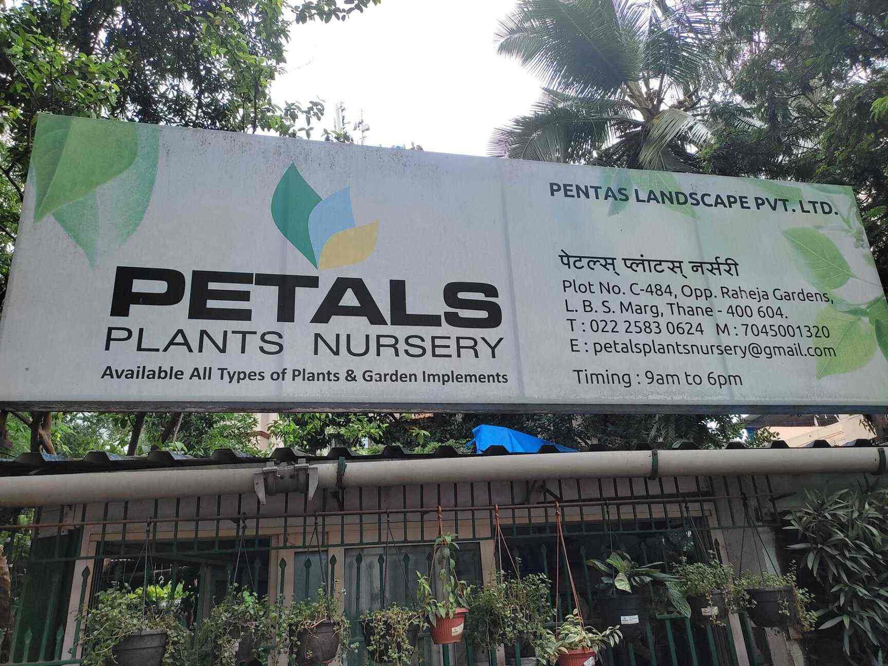 Catalogue Petals Plants Nursery in Thane West , Mumbai Justdial