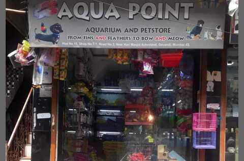 Aqua top pet store