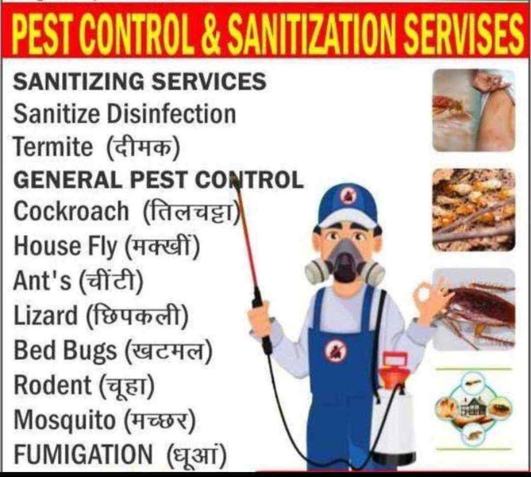 Top 100 Pest Control Services in Mira Road Best Residential Pest