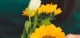 Tulsi Florist in Midc Marol andheri East, Mumbai