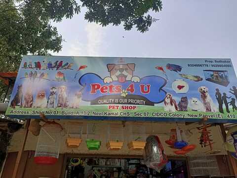 New pet shop shop near me