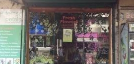 Ferns N Petals in Worli, Mumbai