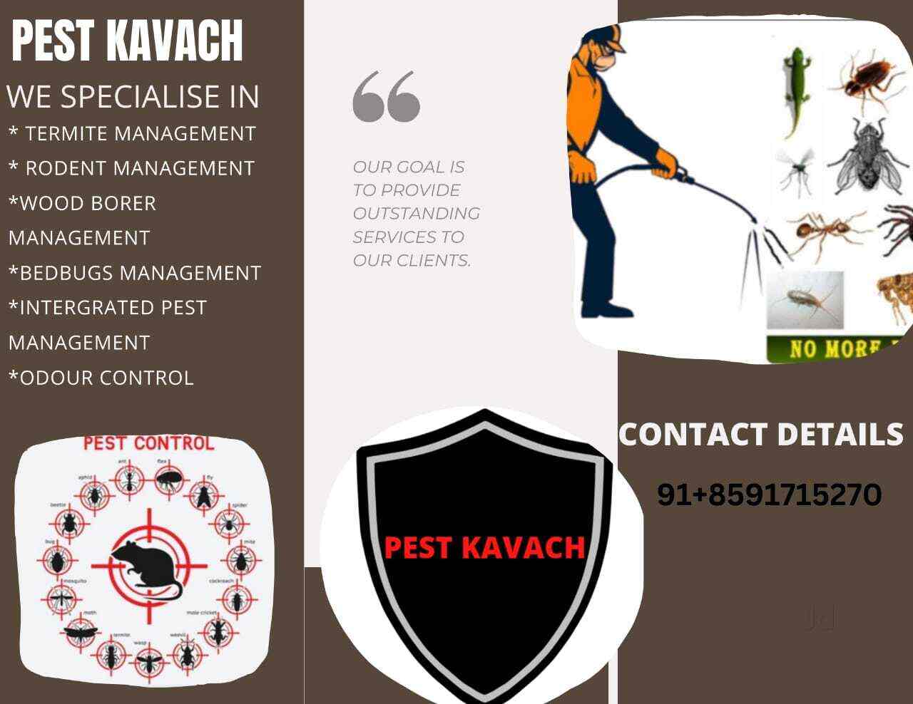 Pest Kavach in Bandra West,Mumbai Best Residential Pest Control Services in Mumbai Justdial