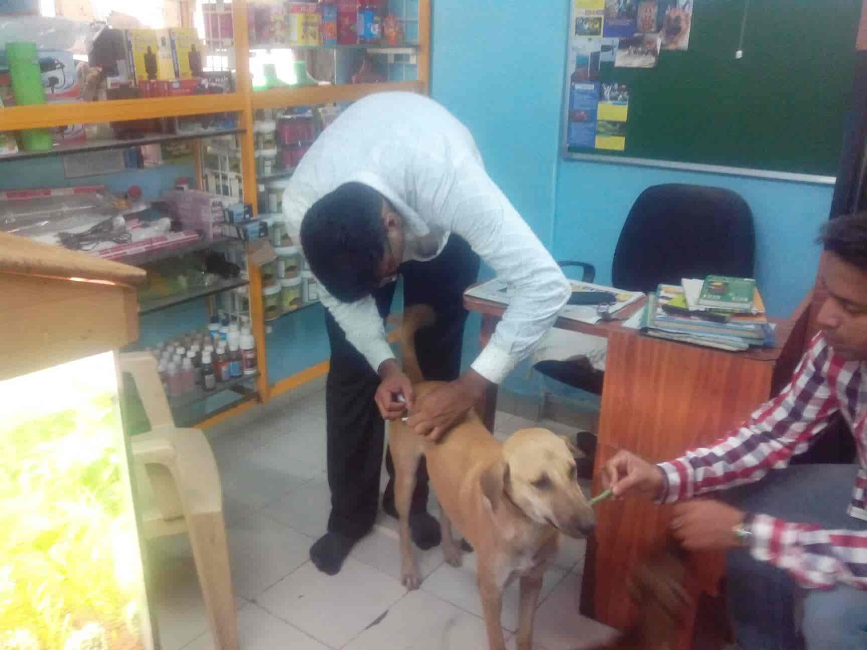 veterinary doctor in panvel