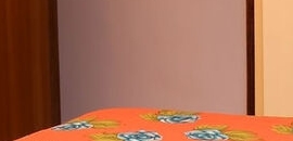 Veman P.g.accomodation in Thakurdwar-Kalbadevi, Mumbai