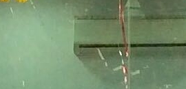 Raj Bajaj in Dadar West, Mumbai