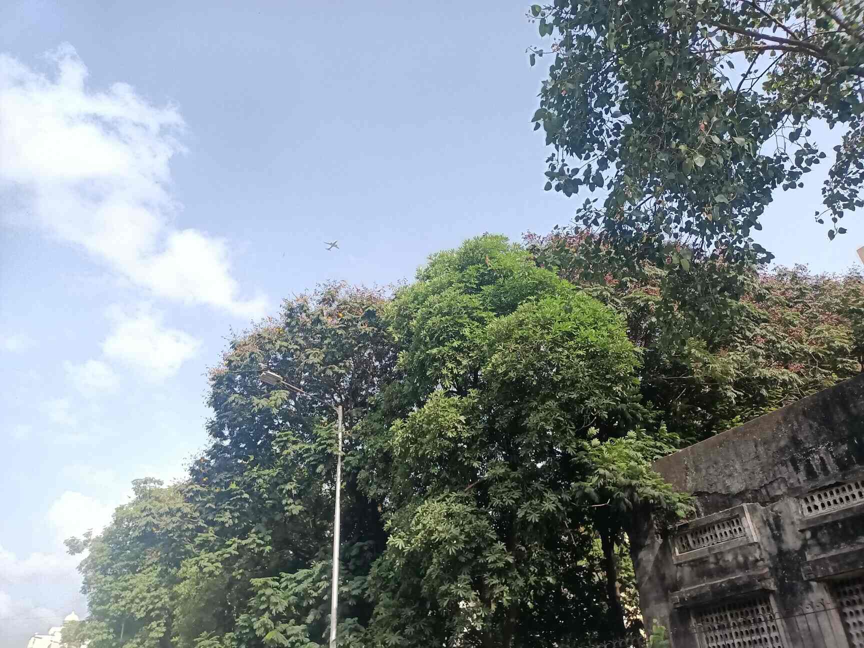 White Cedar Water Tank Cleaning Services in Kopar Khairane,Mumbai