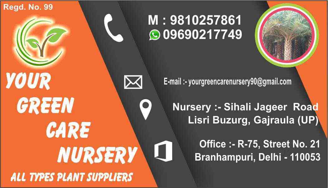 Manoj Nursery in Malad East,Mumbai Best Plant Nurseries in Mumbai