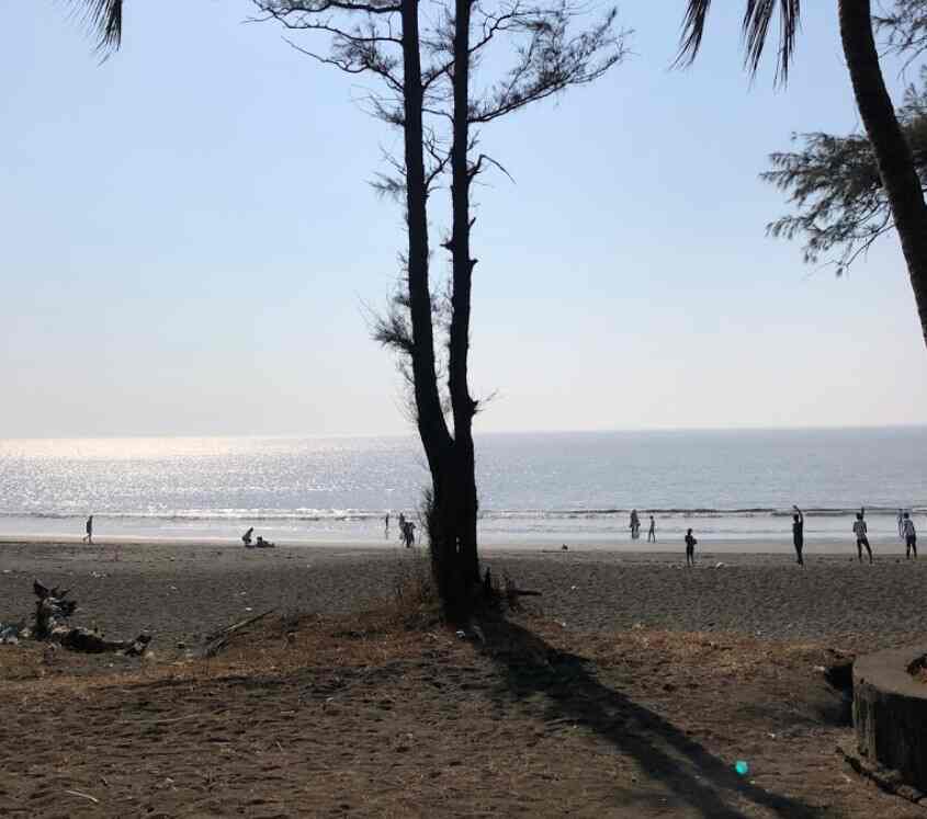 Arnala Beach Garden Virar West Parks In Palghar Mumbai Justdial