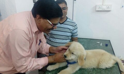 Happy Pets Clinic in Ghatkopar West,Mumbai - Best Veterinary Doctors in Mumbai - Justdial Happy Pets Clinic in Ghatkopar West,Mumbai - Best Veterinary Doctors in Mumbai - Justdial