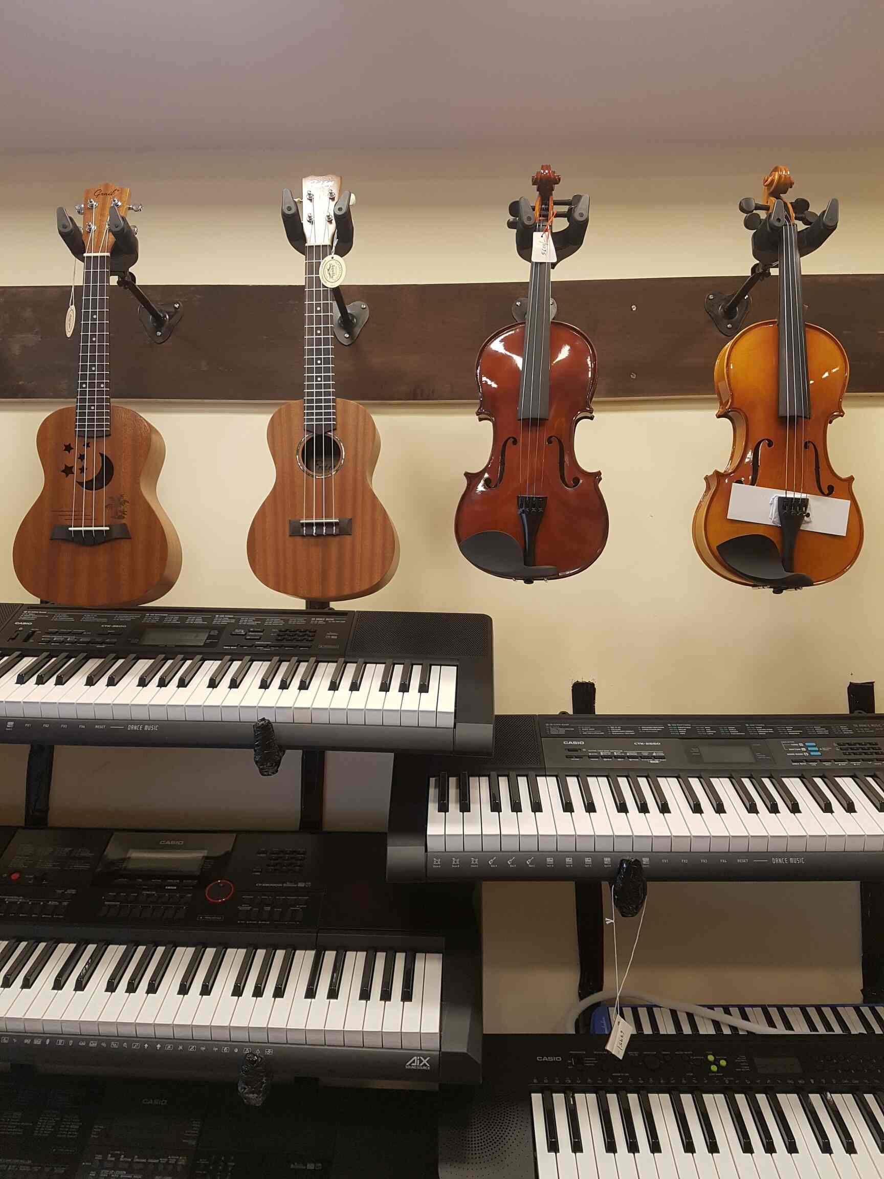 The Artist Music Zone & Academy in Borivali East,Mumbai Best Musical