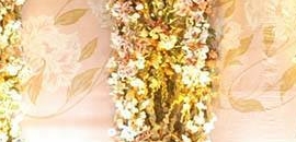 Vibrant Ideas in Bandra East, Mumbai